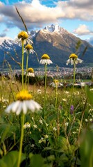 Wildflowers Meadow  Mountain Landscape  Summer Bloom