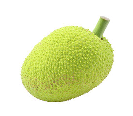 Breadfruit on transparent png