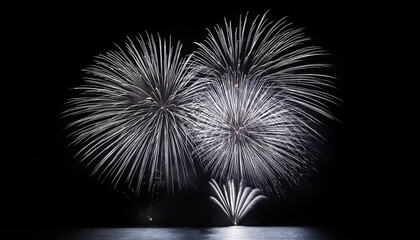 silver fireworks in the night sky