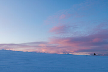 北海道美瑛-夕景のセブンスターの木の丘-
