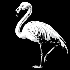 Elegant flamingo profile illustration, black and white, design element