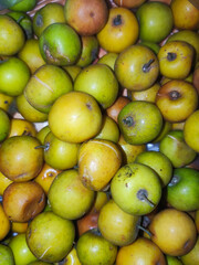 Green jujube of Indian ,dumps, dunks, Chinese date,Chinese apple or pomme surette ,bogori in Assamese 