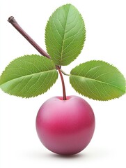Ripe plum, leaves, stem, white background, healthy food, recipe ingredient