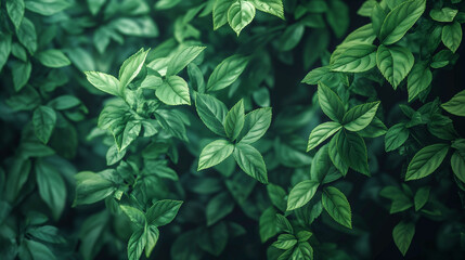 Vibrant Green Leaves in a Natural Pattern
