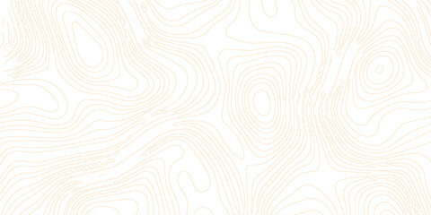 Abstract topographic contours map background .Topographic background and texture, monochrome image. Topography and geography map grid abstract backdrop. Business concept. Topography map concept. © MD OSMAN