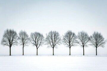 Fototapeta premium Minimalist Trees Silhouette, Isolated White Background - Stock Photo