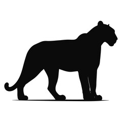 silhouette of a lion
