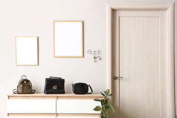 Interior of stylish hall with chest of drawers, houseplant and key holder on white wall