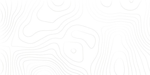 Topography background. Vector banner. Topography map background. Vector geographic contour map. Background of the topographic map. Topographic map lines, contour background. 