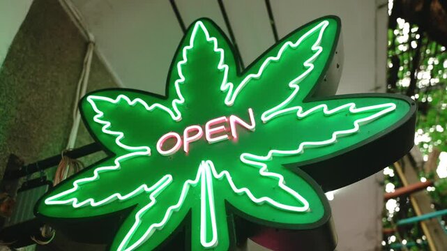 Close up of green neon sign of cannabis shop on the wall on the street. Marijuana leaf with inscription open. Legalization for tourists 