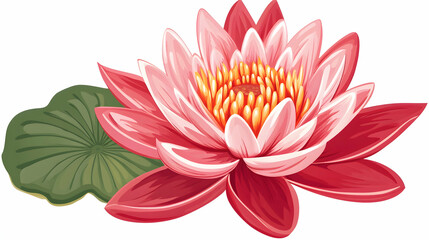 Pink water lily blossom with leaf, serene aquatic plant, isolated on white, for wellness designs