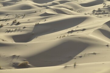 Desert, sand dune of Erg Chebbi, Morocco, Africa
