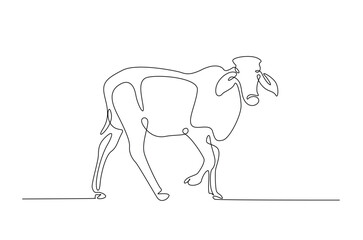 Cow in continuous one line drawing. Single line art draw of cow or bull. Editable vector.