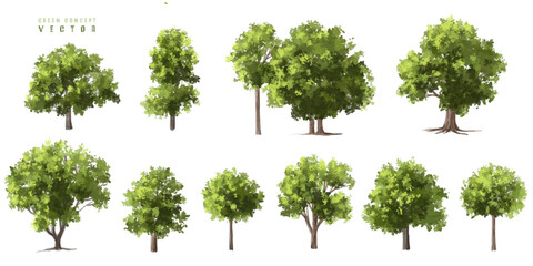 Fototapeta premium Vector watercolor green tree or forest side view isolated on white background for landscape and architecture drawing,elements for environment or and garden,Shrub for section