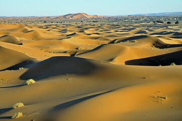 Desert, sand dune of Erg Chebbi, Morocco, Africa