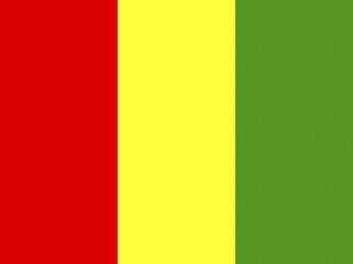 Official national flag of Guinea