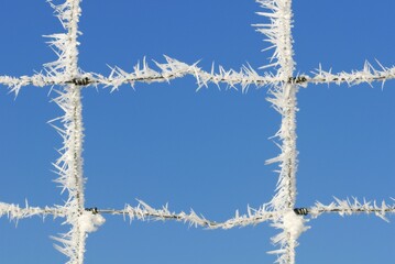 Hoar frost crystals on a fence