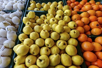 Quinces (Cydonia oblonga) at a fruit stand, Bavaria, Germany, Europe