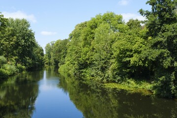 Landscape with forest on the river Ems, Warendorf, North Rhine-Westphalia, Germany, Europe