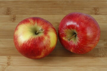 Two Elstar apples (Malus)