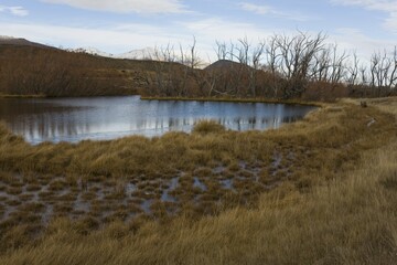 Small lake in a brown grassy landscape, Tekapo, Canterbury, South Island, New Zealand, Oceania