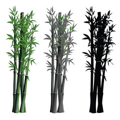 Obraz premium black and green bamboo plants vector illustration in modern minimalist style