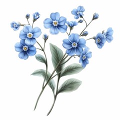 Illustration of forget-me-not flowers with green leaves against a white backdrop, AI generated