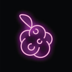 Neon icon of bright pink raspberry shining on black background