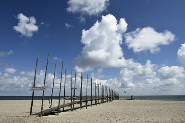 Ferry terminal, Texel, West Frisian Islands, Province of North Holland, The Netherlands, Europe