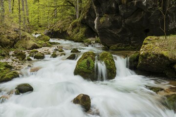 Course of the Hartelsgraben, Gesäuse National Park, Styria, Austria, Europe