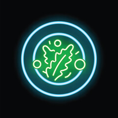 Vibrant neon sign depicting a stylized salad on a plate, glowing against a dark background