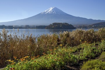 Fototapeta premium Volcano Fuji or Fudschijama with snow-covered summit, 3776 meters, with Kawaguchi Lake, near Fujikawaguchiko, Yamanashi Prefecture, Honshu Island, Japan, Asia