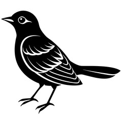 boggle-finch silhouette vector illustration