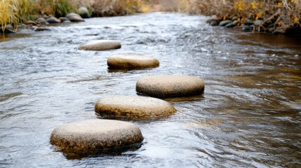 Fototapeta premium Stepping Stones Across a Calm River