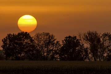 Evening mood in Jerichower Land, Saxony-Anhalt, Germany, Europe