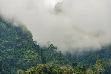Karst mountains shrouded in clouds, rainforest, Nong Khiaw, Luang Prabang, Laos, Asia