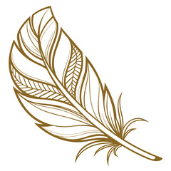 Fototapeta premium feather isolated on white
