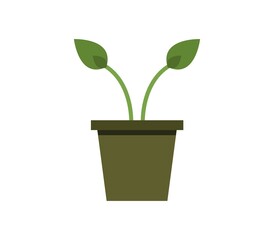 Obraz premium Plant icon illustrated on white background