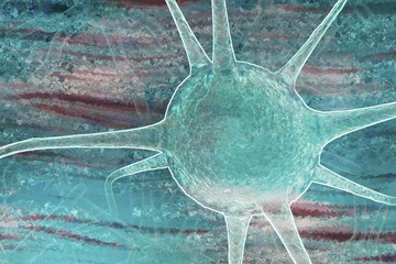 Nerve cells control thinking and movements
