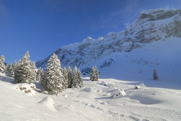 Snow-covered landscape in the swiss alps - Kanton of Apenzell, Ausserrhoden, Switzerland, Europe., Europe