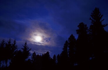 Moonrise in Lamar Valley, Yellowstone national park, Wyoming, USA, North America