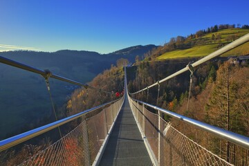 A bridge spans a valley with meadows and wooded hills, Black Forest Line, suspension bridge, Todtnau, Baden- Württemberg, Germany, Europe