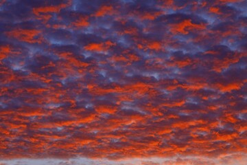 Red cloudy sky at sunset, Schleswig-Holstein, Germany, Europe