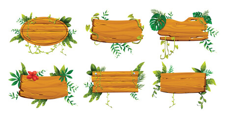 Variety of wooden boards with vines and tropical plants. Vector cartoon illustration © YG Studio