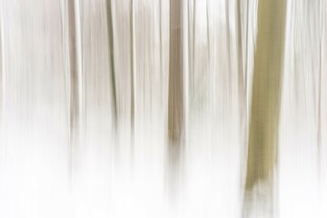Winter forest, abstract