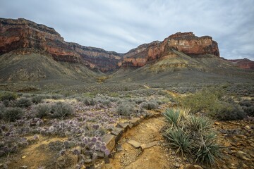 View from Plateau Point Trail in the canyon of the Grand Canyon to the South Rim, hiking trail Bright Angel Trail, eroded rock landscape, Grand Canyon National Park, Arizona, USA, North America