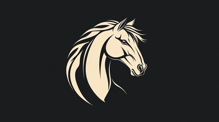 Fototapeta premium Horse head with flowing mane on dark background.