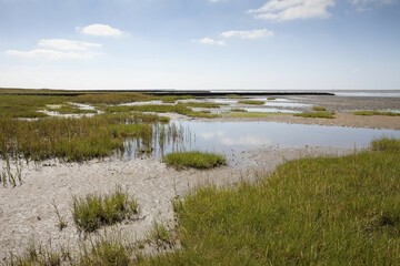 Low tide in the Lower Saxon Wadden Sea National Park, North Sea, Lower Saxony, Germany, Europe