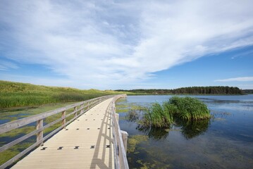 Floating jetty at Lake of shining waters, Prince Edward Island, Canada, North America
