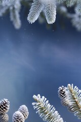 Symmetrically arranged, ripe fir branches with cones. The blurred background with a bright centre suggests a cool winter landscape. AI generated, AI generated, AI generated